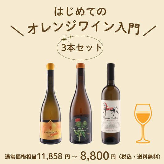 はじめてのオレンジワインセット（送料無料）